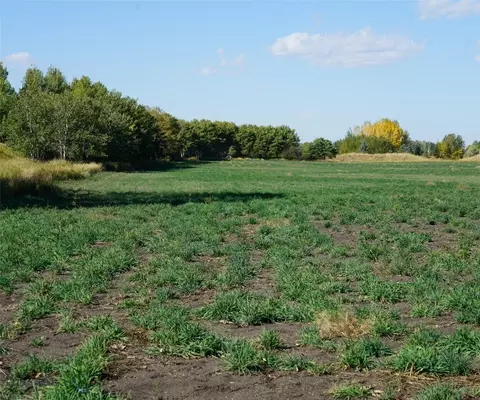 tbd Manley, Bozeman, MT 59715 photo 2