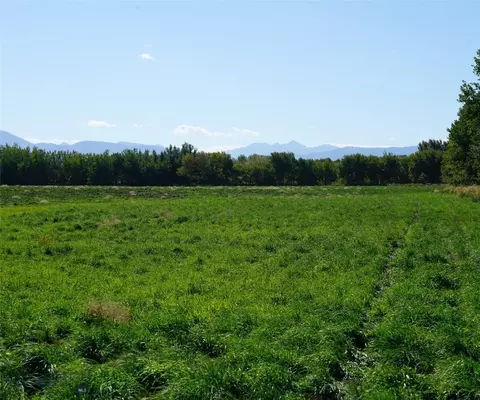 tbd Manley, Bozeman, MT 59715 photo 8