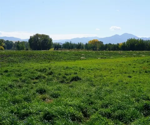 tbd Manley, Bozeman, MT 59715 photo 9
