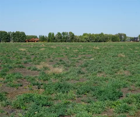 tbd Manley, Bozeman, MT 59715 photo 3