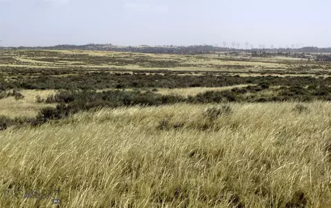 tbd Lindstrom Rd, Shepherd, MT 59079