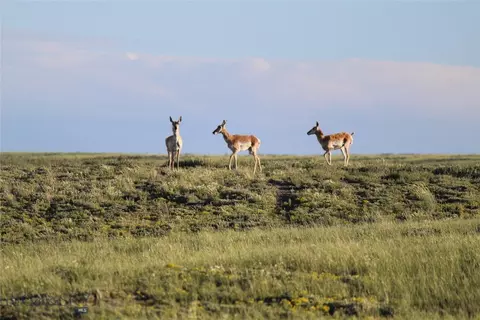 7888 Nitro Rd, Other, WY 82646 photo 5