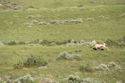 7888 Nitro Rd, Other, WY 82646 photo 21