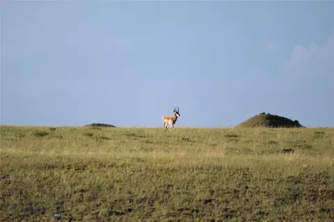 7888 Nitro Rd, Other, WY 82646 photo 27