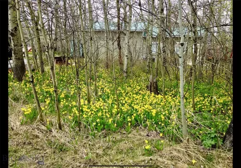15 S Shore Rd # A, Other, MT 59411 photo 49