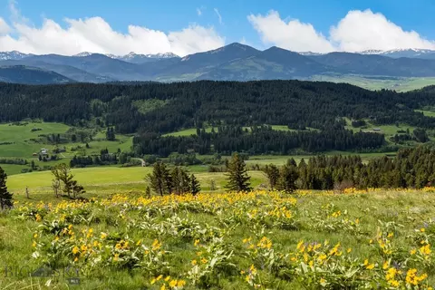 Undisclosed, Bozeman, MT 59715 photo 23