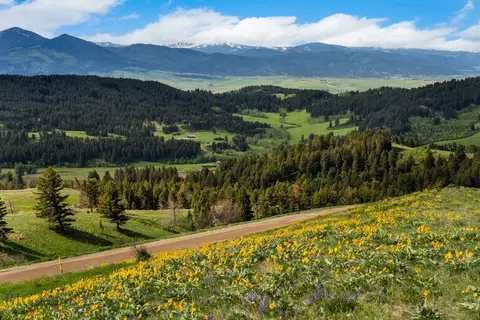 Undisclosed, Bozeman, MT 59715 photo 24