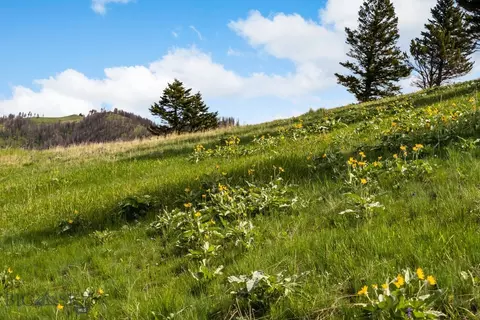 Undisclosed, Bozeman, MT 59715 photo 22
