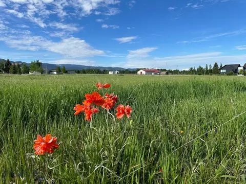tbd Johnson Rd, Bozeman, MT 59718 photo 4