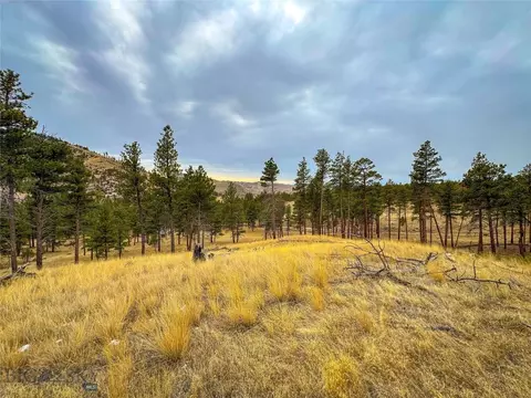 40 Acres American Bar Rd, Helena, MT 59602