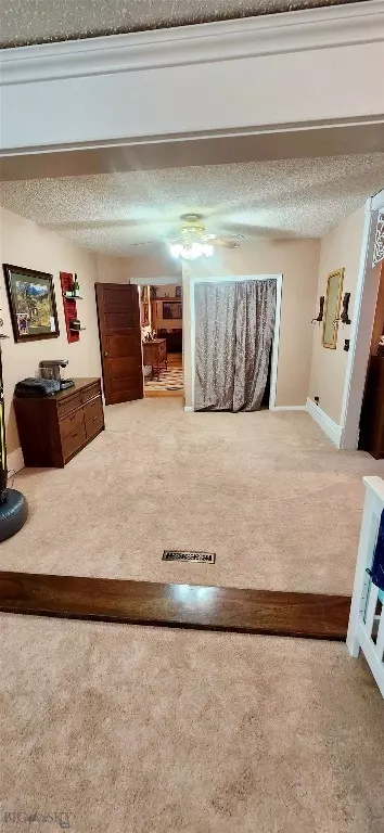 413 Courtenay Ave S, Terry, MT 59349 photo 18