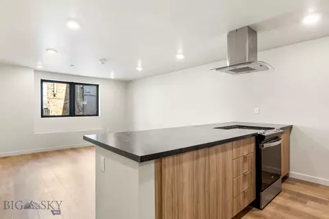 59 E Park St #201, Butte, MT 59701 photo 3