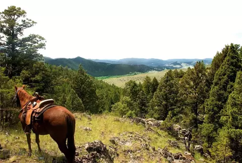 902 Lower Valley Rd, Boulder, MT 59632 photo 2