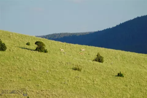 902 Lower Valley Rd, Boulder, MT 59632 photo 24