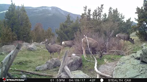 902 Lower Valley Rd, Boulder, MT 59632 photo 13