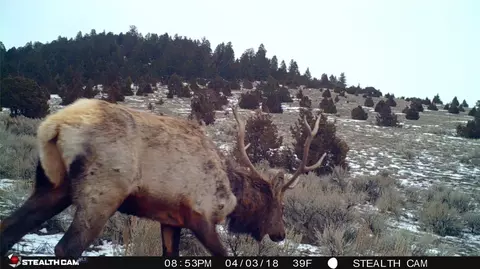 902 Lower Valley Rd, Boulder, MT 59632 photo 10