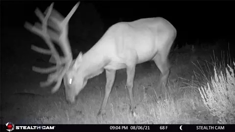 902 Lower Valley Rd, Boulder, MT 59632 photo 28