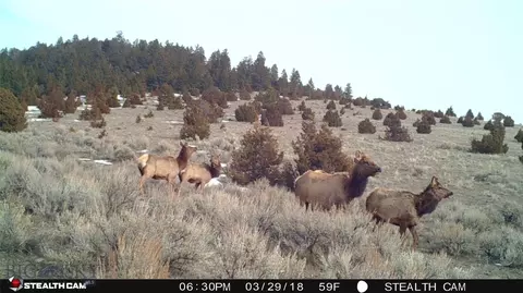902 Lower Valley Rd, Boulder, MT 59632 photo 14