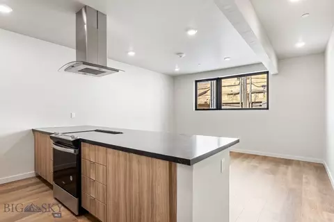 59 E Park St #204, Butte, MT 59701 photo 4