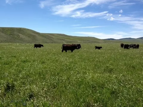 110 Schendel Rd, White Sulphur Springs, MT 59645