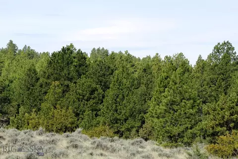 tbd Pine Crest Rd, Columbus, MT 59019 photo 22