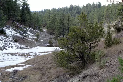 tbd Pine Crest Rd, Columbus, MT 59019 photo 10