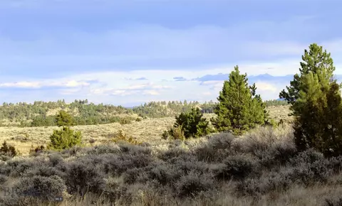 tbd Pine Crest Rd, Columbus, MT 59019 photo 2