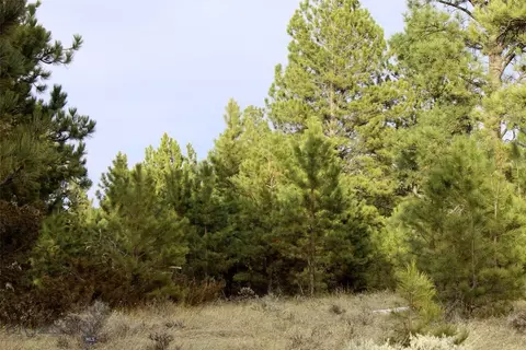 tbd Pine Crest Rd, Columbus, MT 59019 photo 3