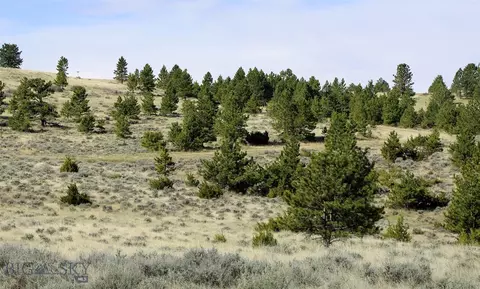 tbd Pine Crest Rd, Columbus, MT 59019 photo 15