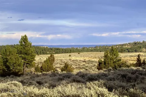 tbd Pine Crest Rd, Columbus, MT 59019 photo 28