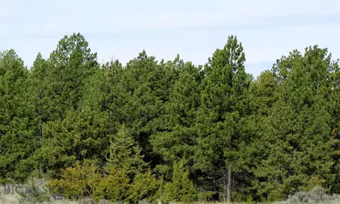 tbd Pine Crest Rd, Columbus, MT 59019 photo 6