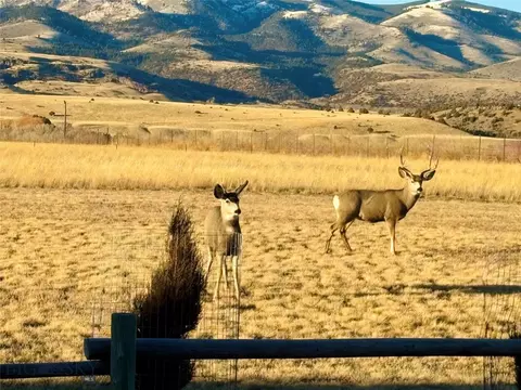 Other - 680 E River Rd, Pray, MT 59065 photo 31 of 32