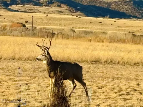 Other - 680 E River Rd, Pray, MT 59065 photo 32 of 32