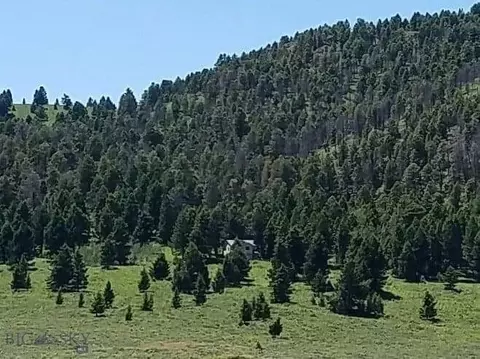 23 Buffalo Lance Road, Cameron, MT 59720