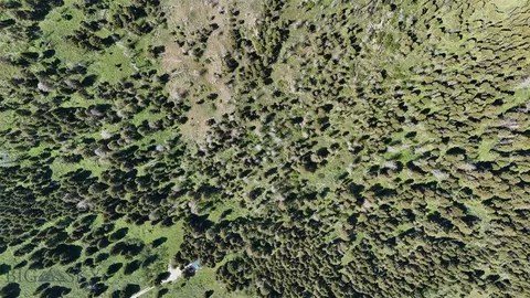 23 Buffalo Lance Road, Cameron, MT 59720 photo 4