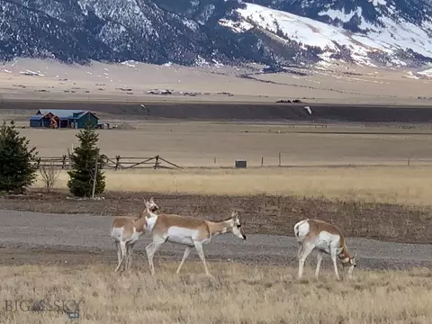 4 Soaring Eagle, Ennis, MT 59729 photo 5