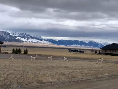 4 Soaring Eagle, Ennis, MT 59729 photo 4