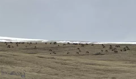 354 Shining Mountains Loop Rd, Ennis, MT 59729 photo 38