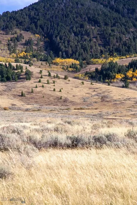 Parcel 77 And Gvt Lot 6 Final Legal Tbd, Cameron, MT 59720 photo 26