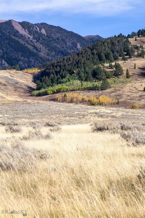 Parcel 77 And Gvt Lot 6 Final Legal Tbd, Cameron, MT 59720 photo 25