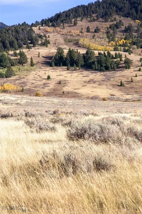 Parcel 77 And Gvt Lot 6 Final Legal Tbd, Cameron, MT 59720 photo 27