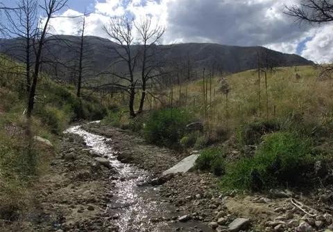 Nhn Ranger Way, Red Lodge, MT 59068