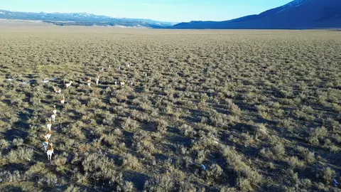 30 Pond Rd, Cameron, MT 59720 photo 16