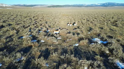 30 Pond Rd, Cameron, MT 59720 photo 3