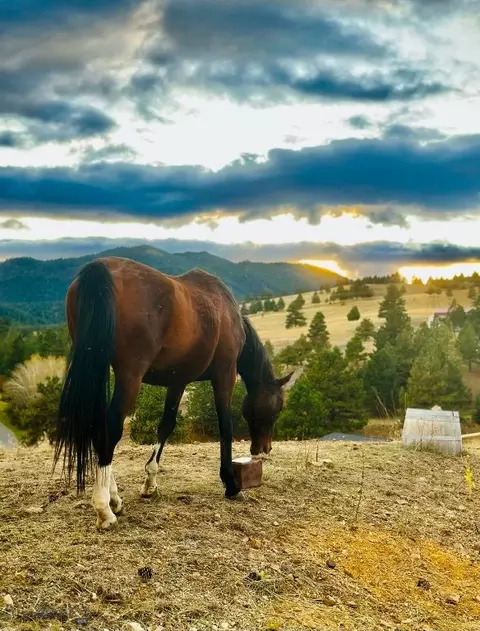 160 Jackson Crk, Clancy, MT 59634 photo 15