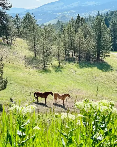 160 Jackson Crk, Clancy, MT 59634 photo 16