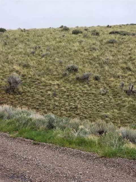 710 Gamblers Run, Dillon, MT 59725 photo 9