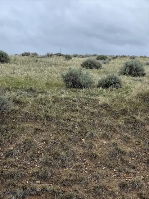 710 Gamblers Run, Dillon, MT 59725 photo 8