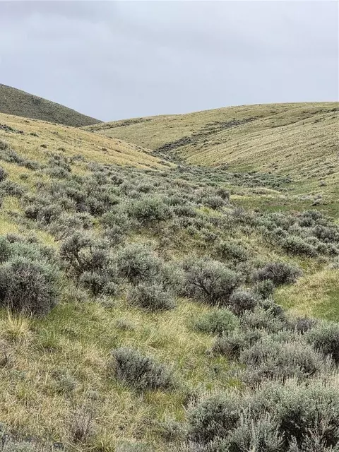 710 Gamblers Run, Dillon, MT 59725 photo 6