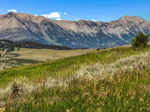 lot8 Tbd Bridger Vis, Bozeman, MT 59715